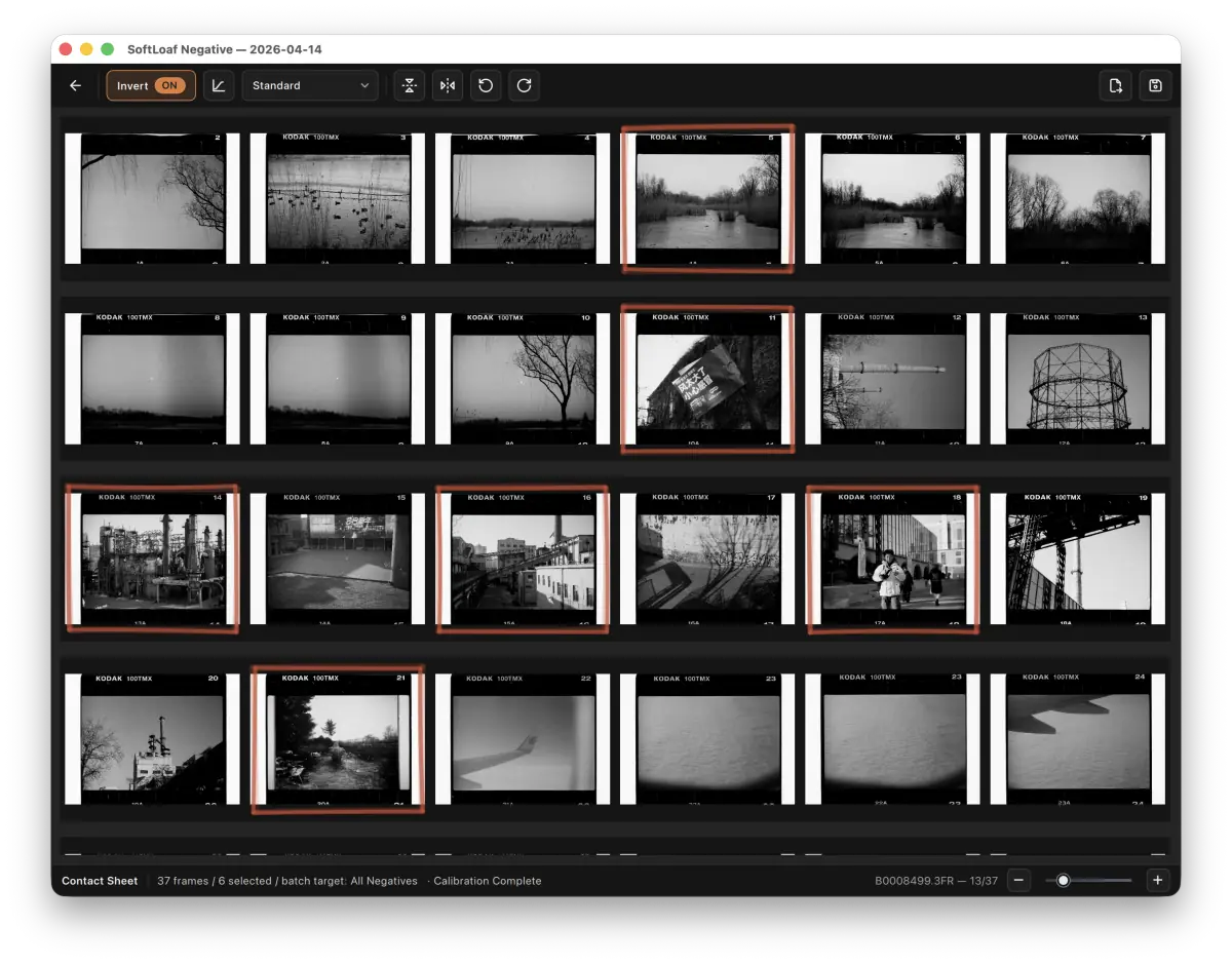 Independent black-and-white workflow.