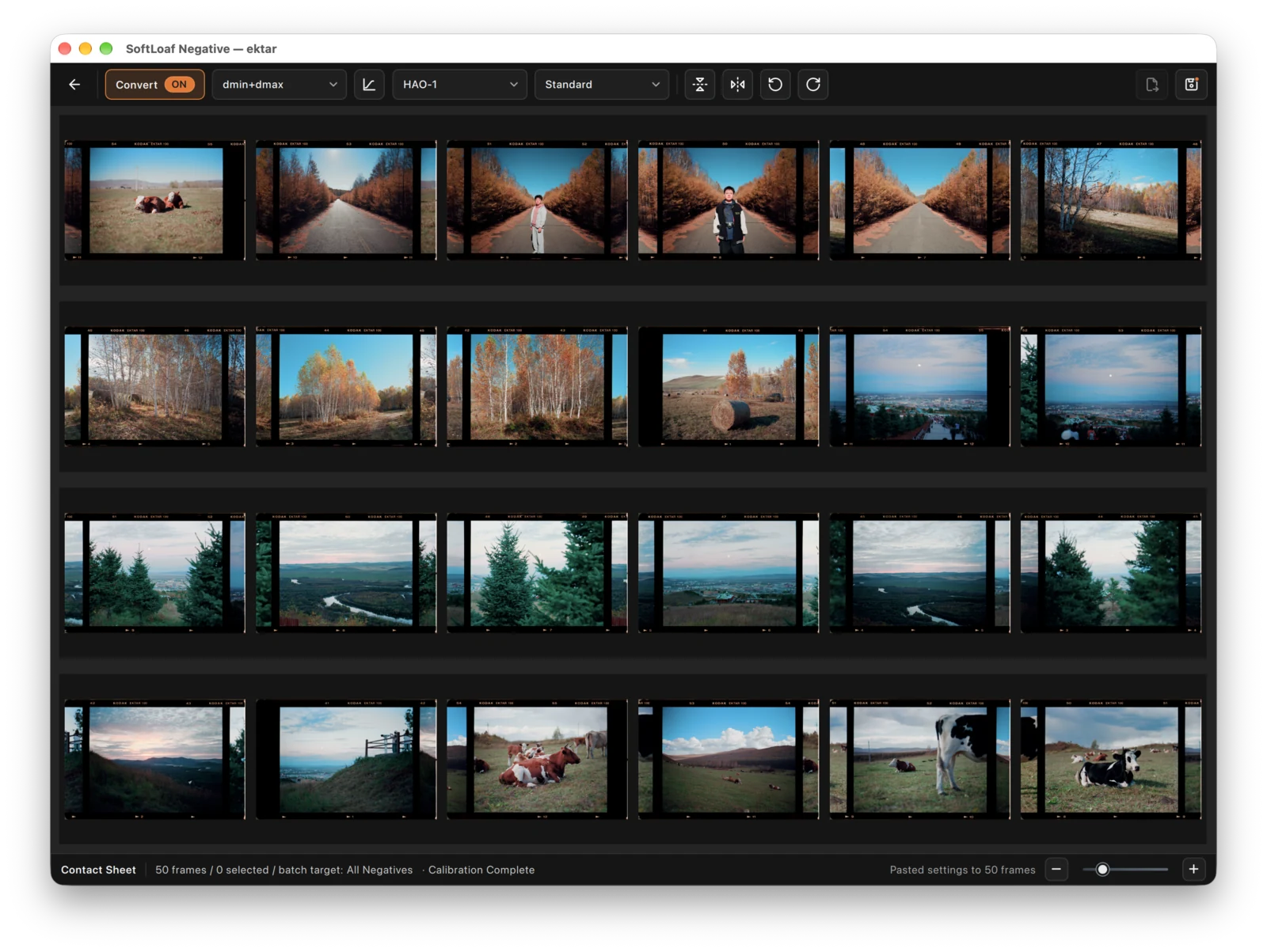 Check photographs and edits after reopening