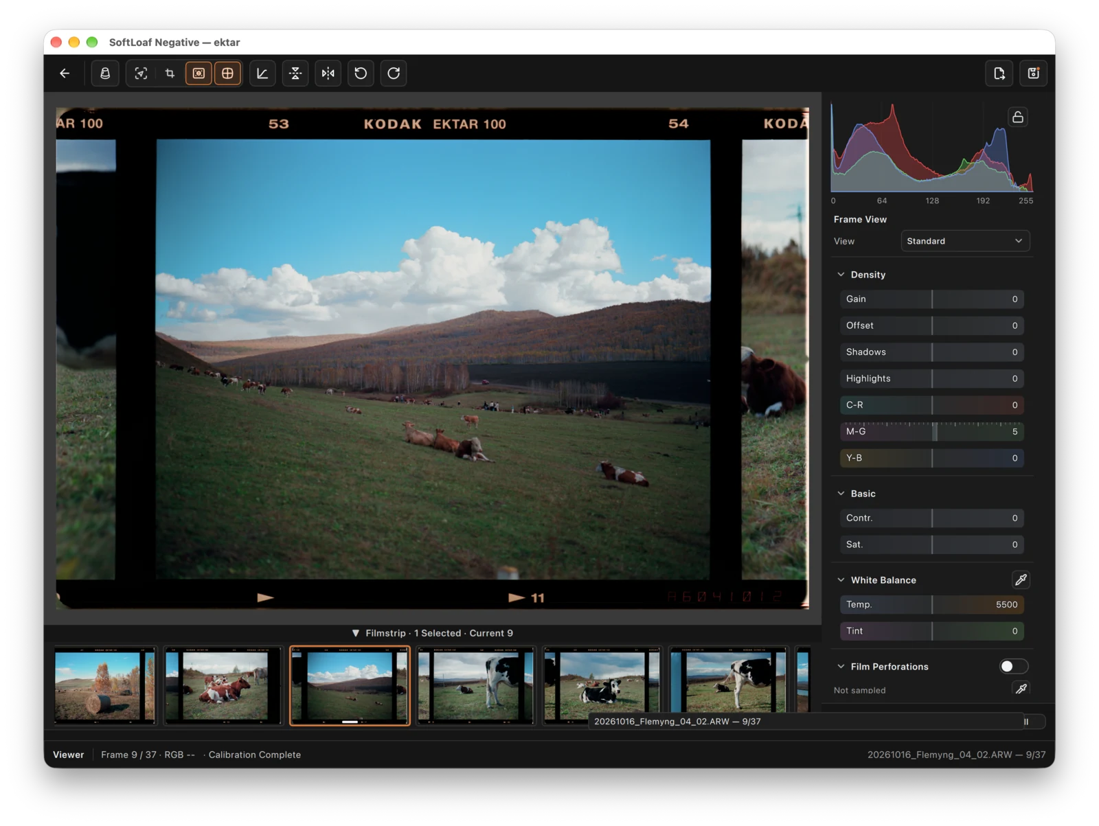 Flat-field correction on. Compare the sky, grass, and image edges with correction off.