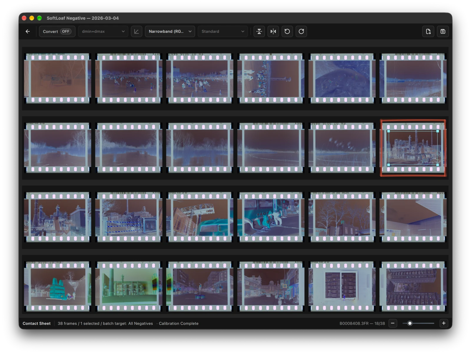 Negative Contact Sheet with the current selection. A negative appearance is normal with Convert OFF; double-click the photograph to enter the Viewer.