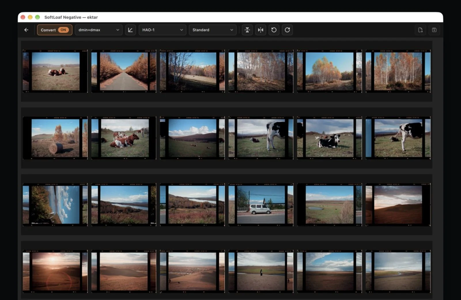 dmin+dmax: converts the roll using low- and high-density references.