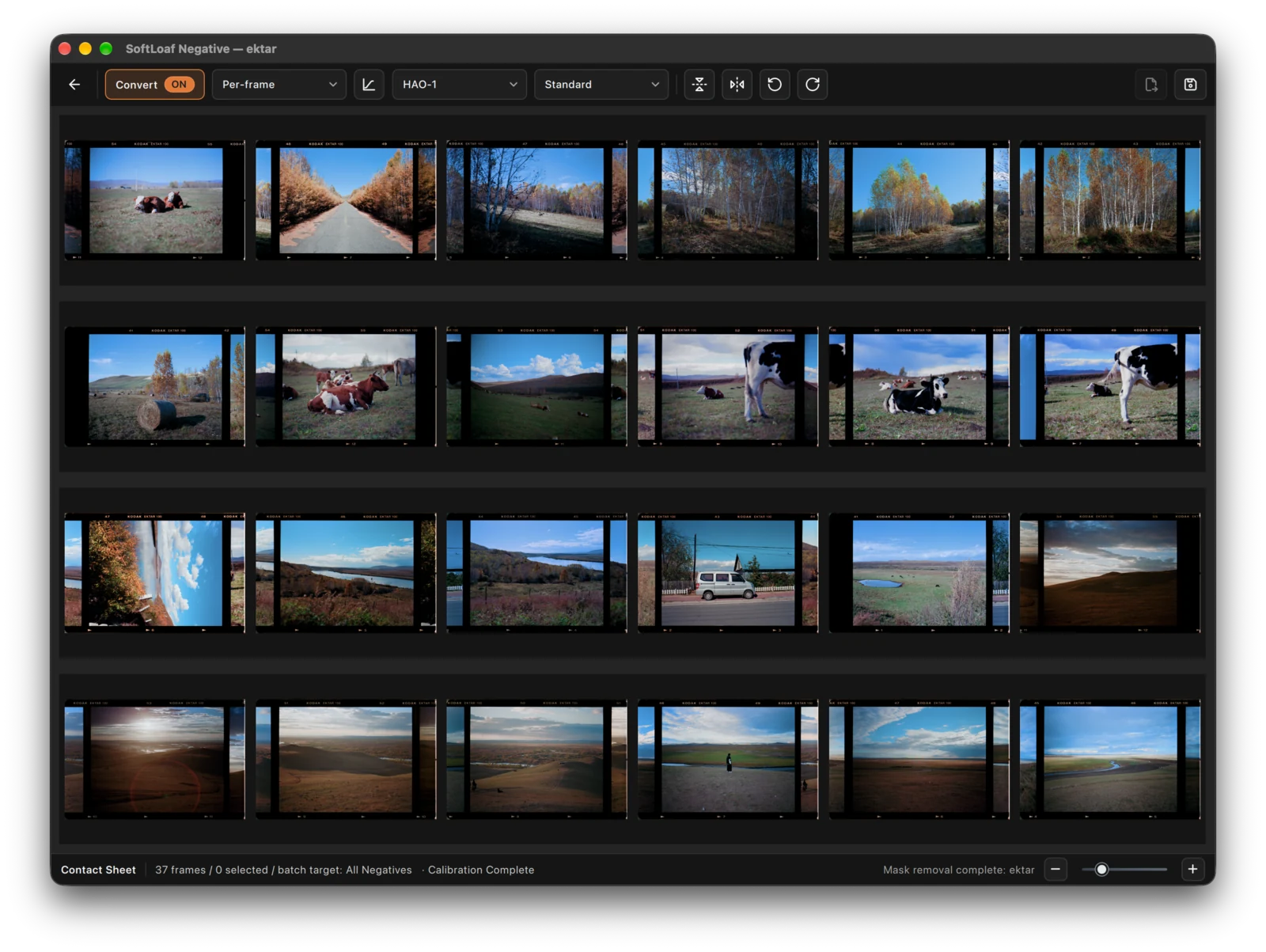 Per-frame: estimates each image independently. Limited information in one frame can cause inconsistent results; not recommended for routine use.