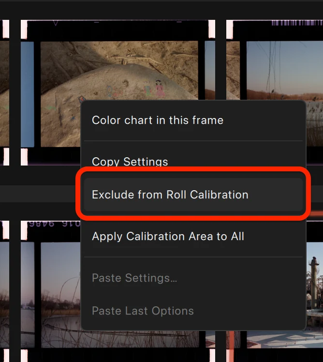 Red outline: Exclude from Roll Calibration. The photograph remains in the project and can still be exported.