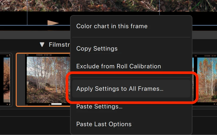 Viewer menu: Apply Settings to All Frames… applies roll-wide, regardless of the current multi-selection.