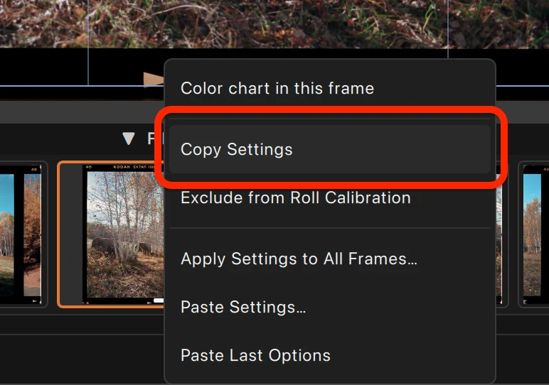 Copy Settings in the Viewer context menu. Check the source frame before copying; this copies settings, not the photograph file.