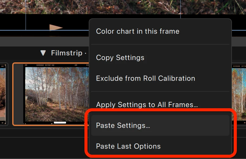Do not confuse single-frame and batch paste
