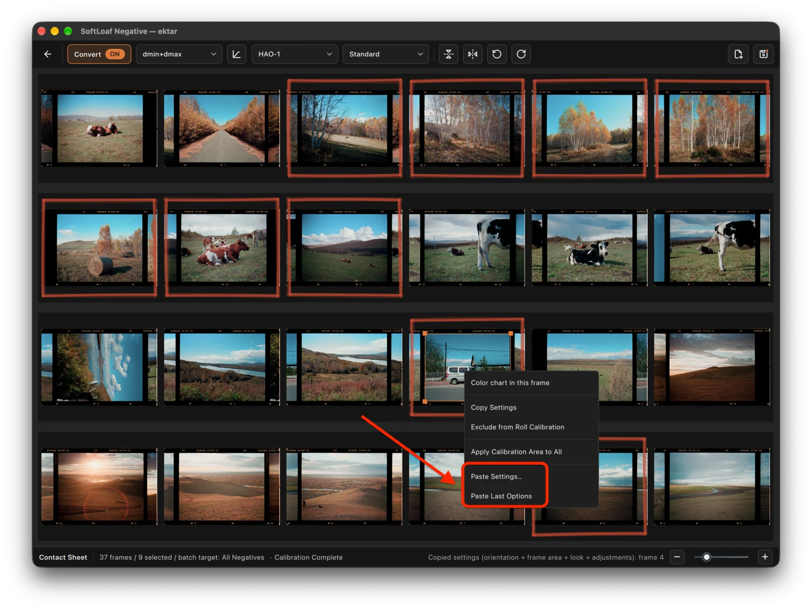 Contact Sheet multi-selection: nine of 37 frames selected. Paste Settings opens the paste options; check the selection count and source first.