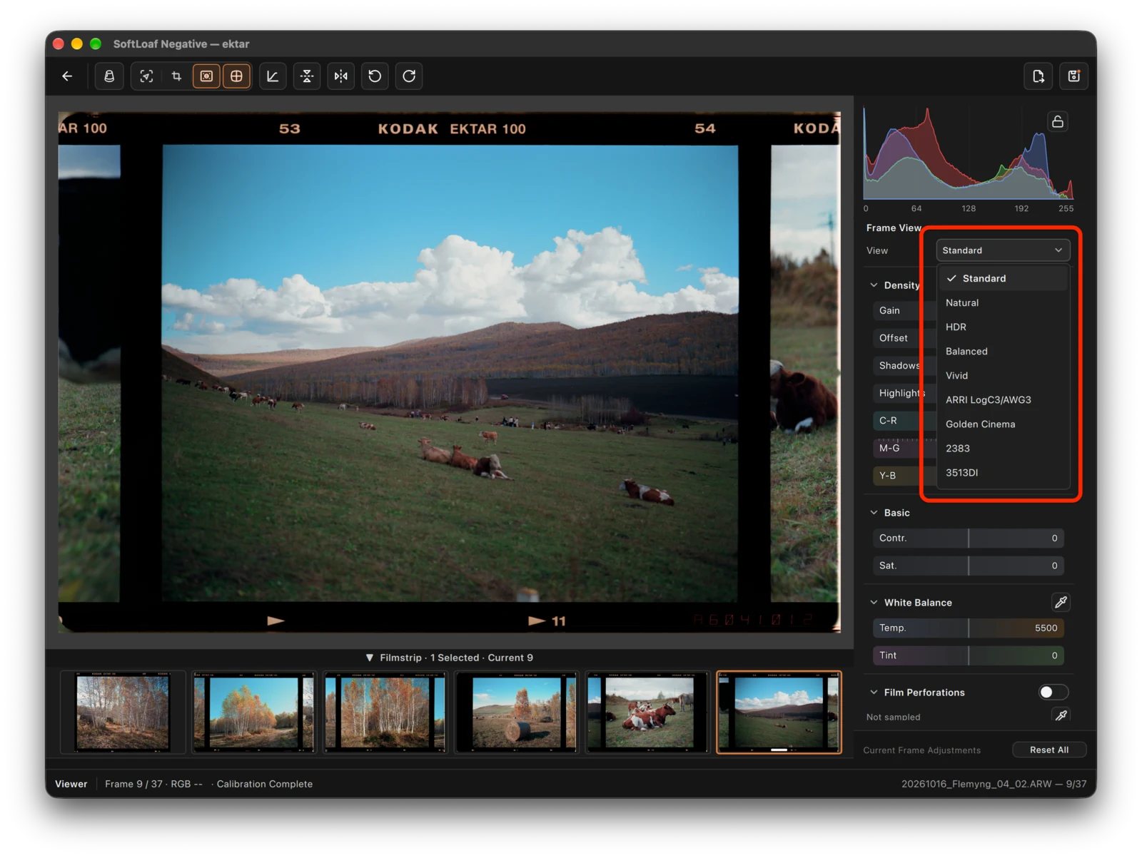 Inspect View and Look in a single frame