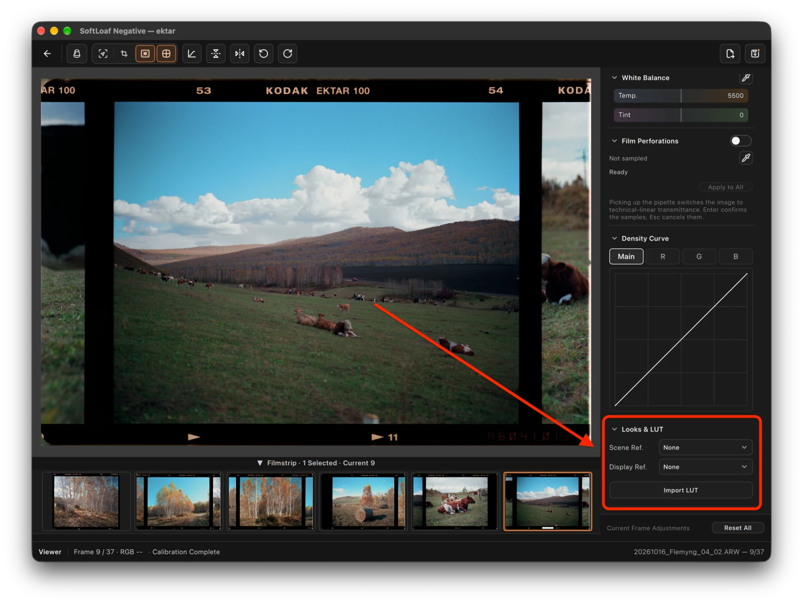 Choose where to apply the LUT