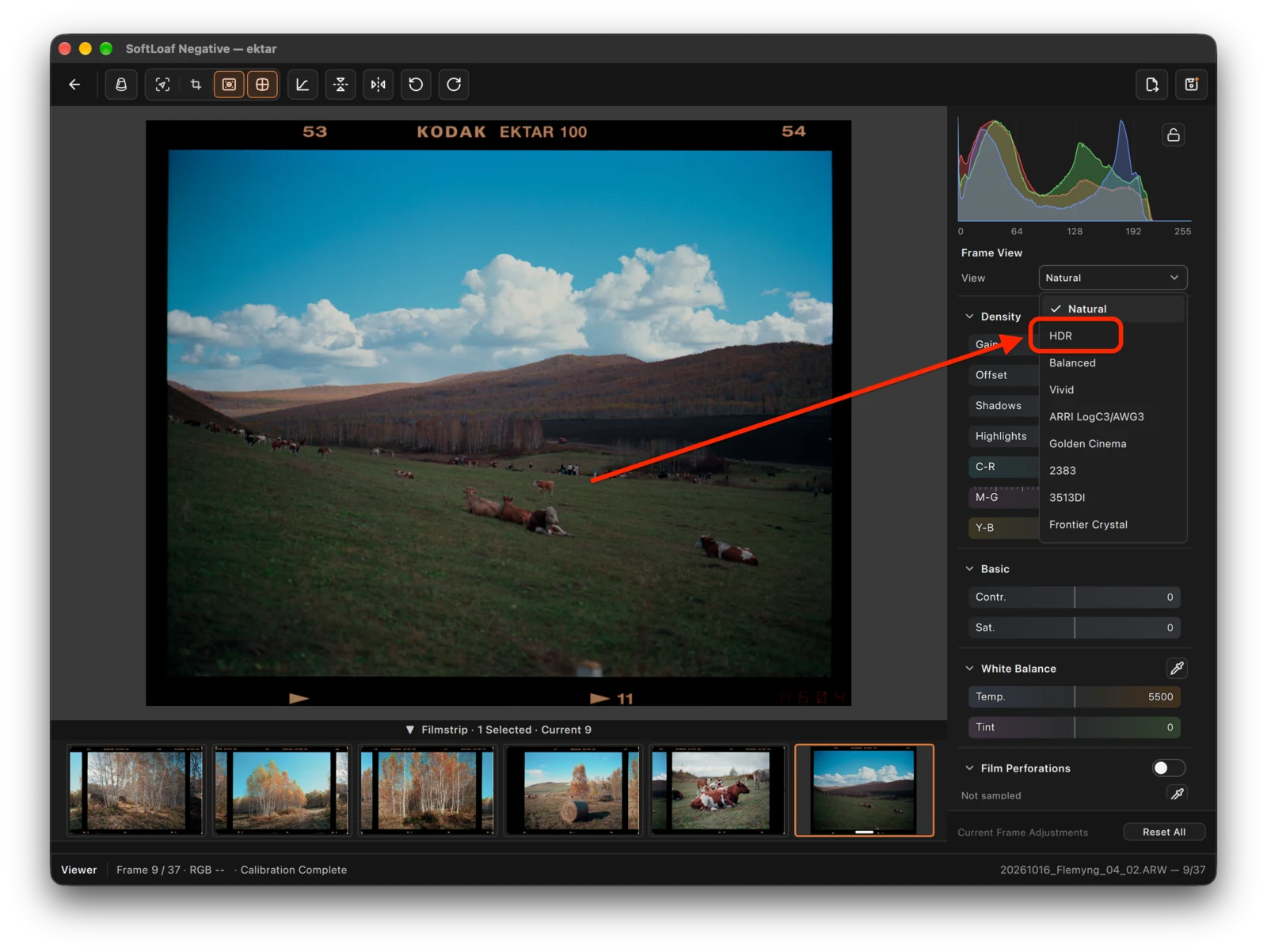 HDR entry in a color-negative Viewer. The outline identifies the HDR option to select; Natural is still checked, so HDR is not yet enabled.