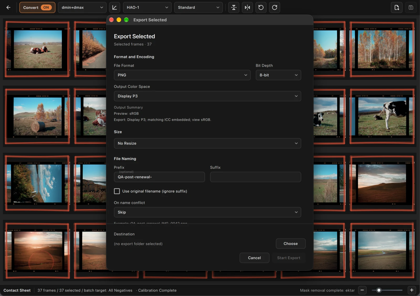 Check the count before choosing format, color settings, and destination.